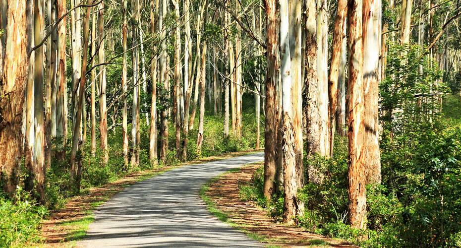 Mavallam Farms & Resorts, Erode 4